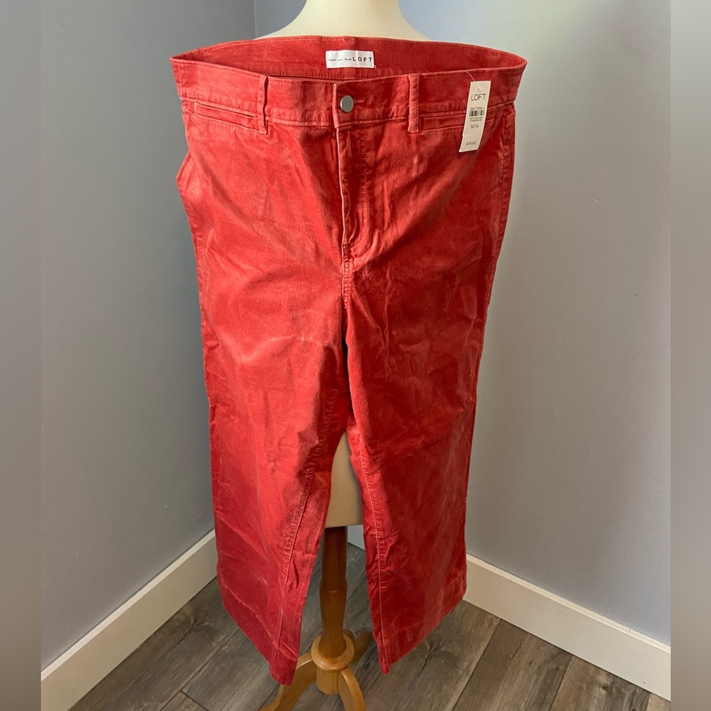 LOFT sz14 cropped coral velvet pants.